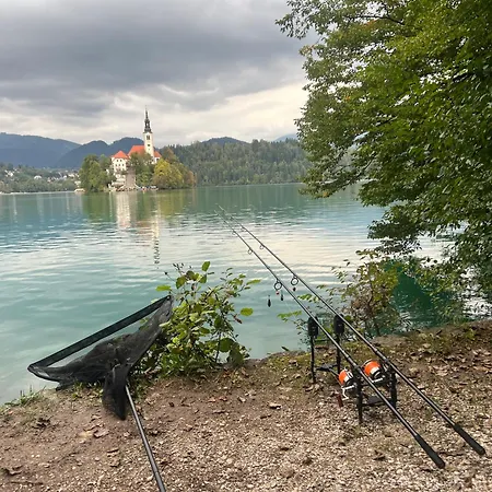 Kemping 4 Elements Glamping & Bled