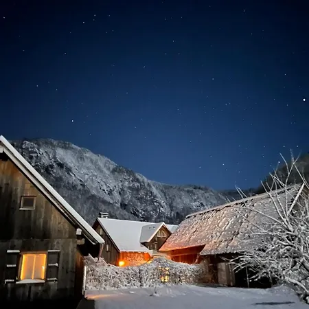 4 Elements Glamping & Bled