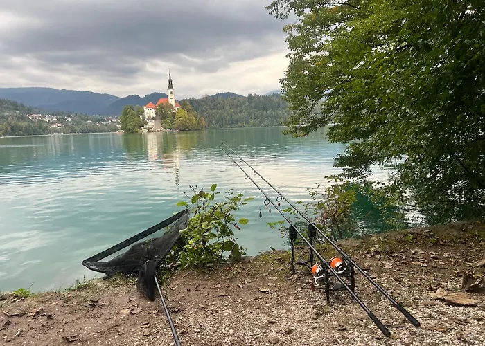 Campingplads 4 Elements Glamping & Bled