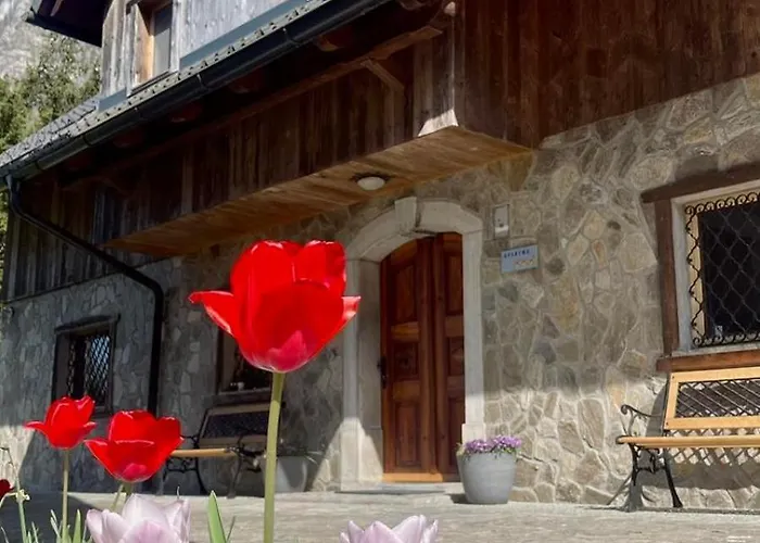 4 Elements Glamping & * Bled