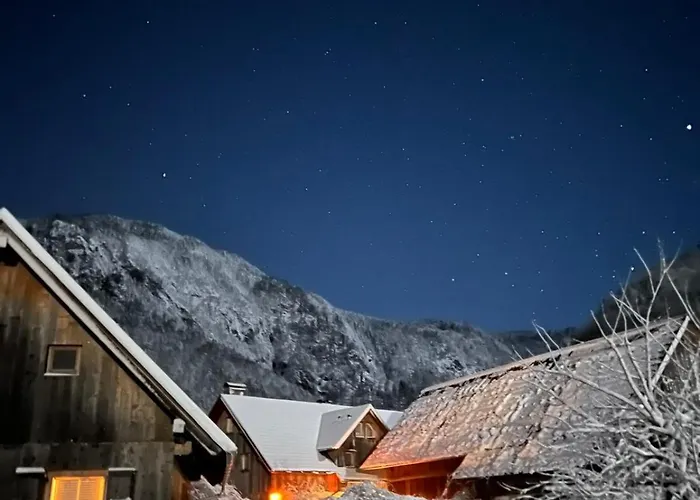 4 Elements Glamping & Bled